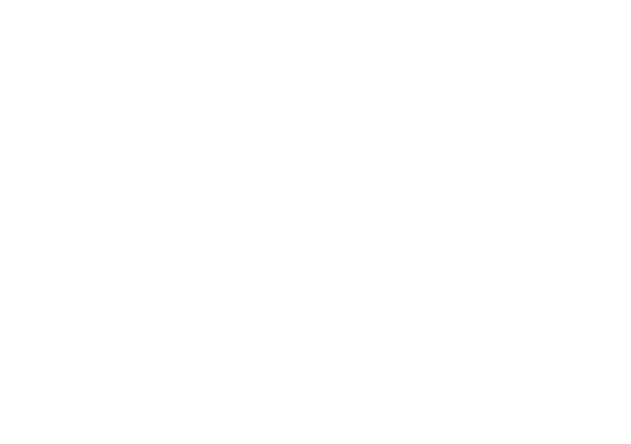 Comercial Feliannys