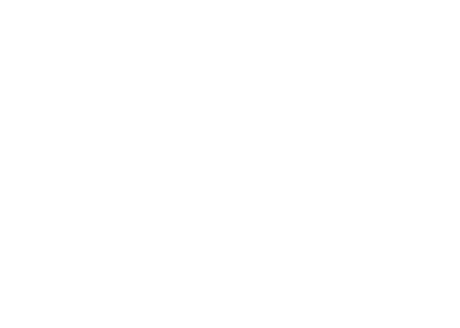 Distribuidora Veteris